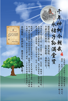 認養一棵樹